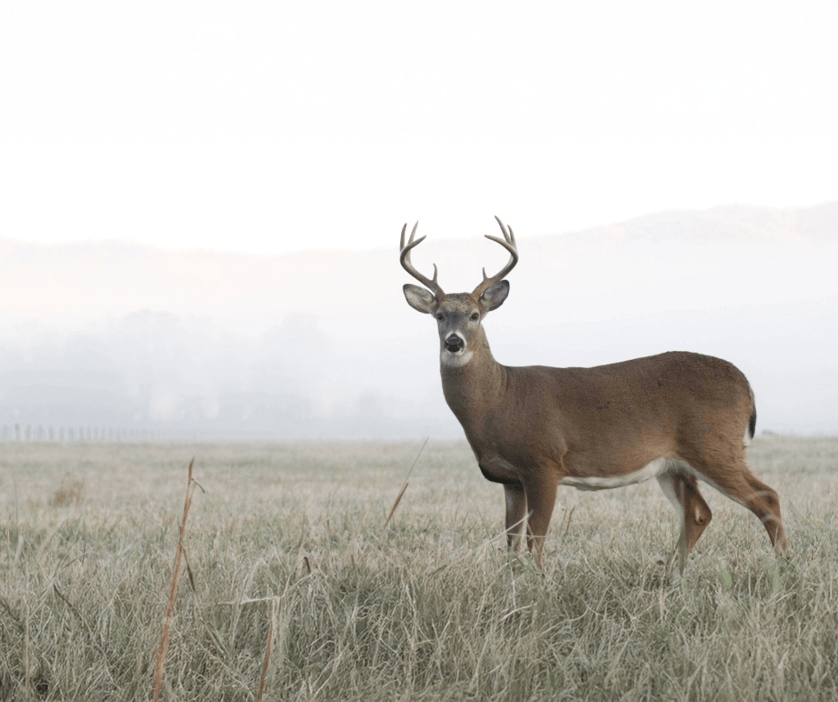 Landowner standing in agriculture field that he inherited.