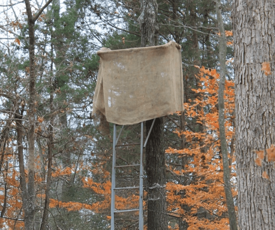 Demand for Hunting Leases on the Rise 1- 940×788