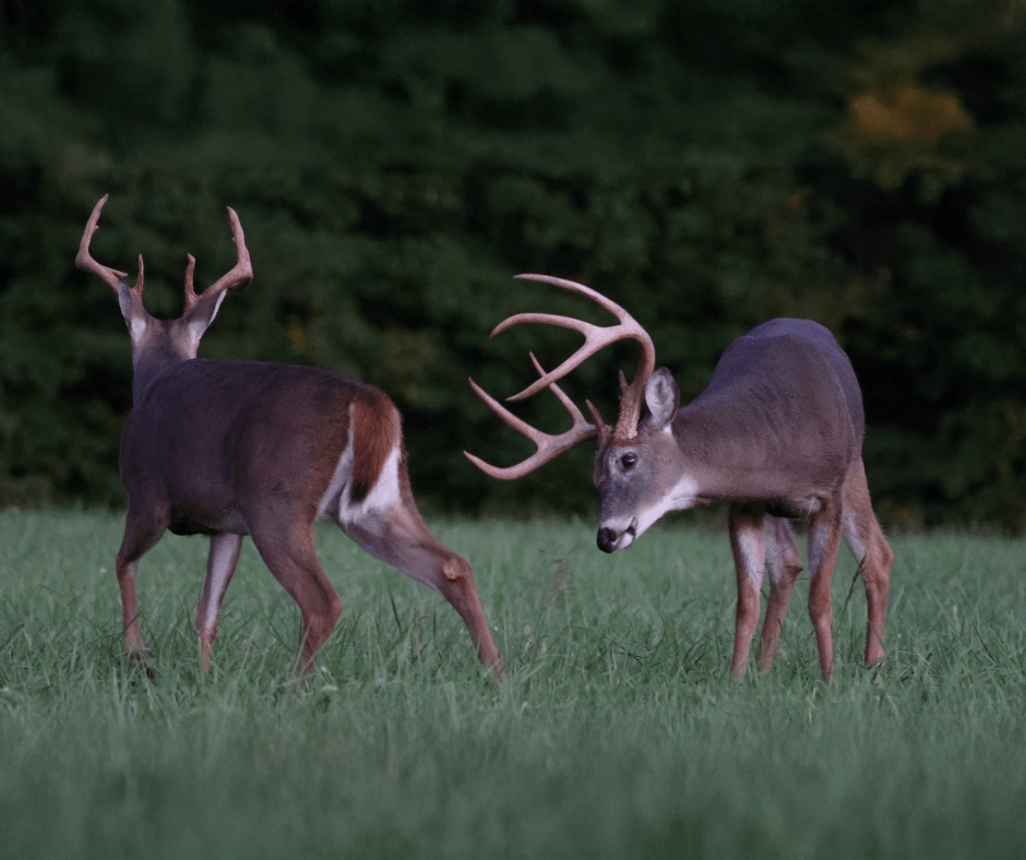 Landowner standing in agriculture field that he inherited.