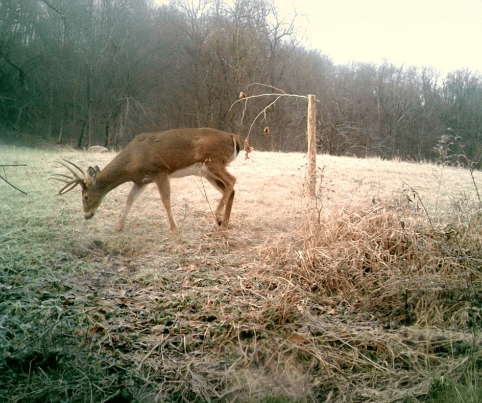 THe Future of Hunting Leases Image 4 -944×788