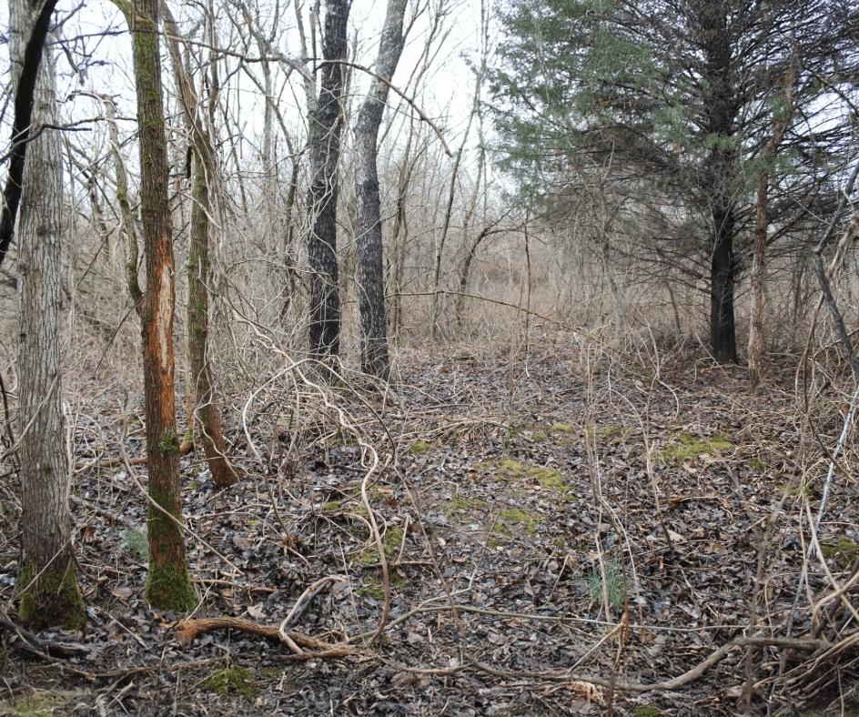 The Future of Hunting Leases Image 2 – 944×788