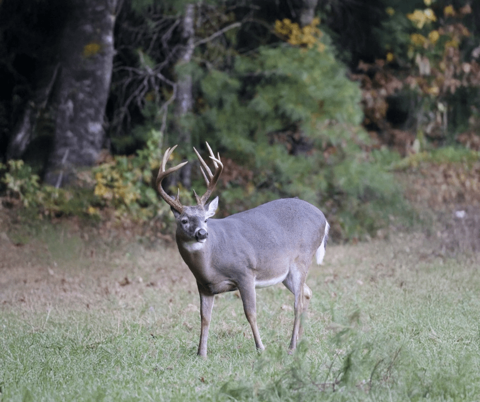 Hunter-Limits-6 940×788 Landowner standing in agriculture field that he inherited.